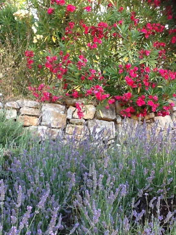 L'Oustaou B&B Piscine & Spa Besse-sur-Issole Екстериор снимка