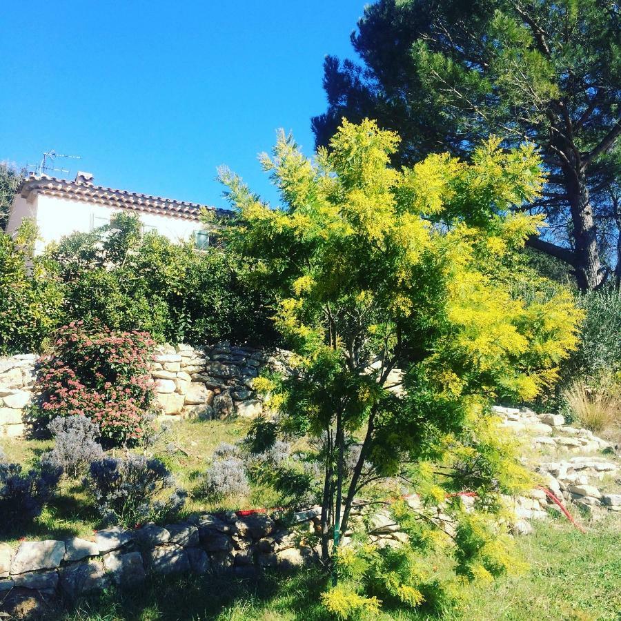 L'Oustaou B&B Piscine & Spa Besse-sur-Issole Екстериор снимка